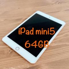 iPad mini 第5世代 64GB SIMフリーモデル