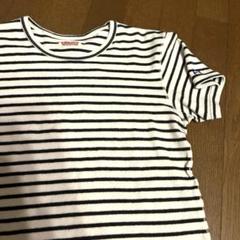日本製ハリウッドランチマーケット ボーダーフライスTシャツ2