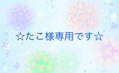 特大サイズ2枚と新幹線柄2枚