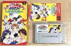 スーパーファミコン カセット スーパーリアル麻雀PⅤ パラダイス