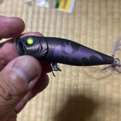 2025年最新】メガバス 限定の人気アイテム - メルカリ