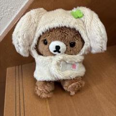【美品　未使用】リラックマ　レアチャイロイコグマ　 ぬいぐるみキーホルダー2点 200523 チャイロイコグマの『大きくなりたいな』シリーズ
