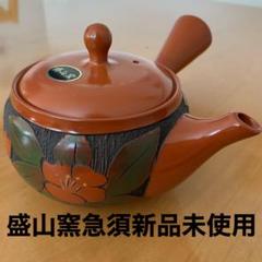 盛山窯急須