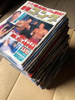 1995年週刊ゴング50冊、週刊プロレス11冊