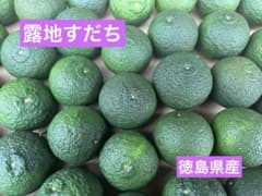 ☆徳島県産　露地すだち　2L〜3L 発送当日収穫 ☆徳島県産 露地すだち 2L〜3L 発送当日収穫 - メルカリ