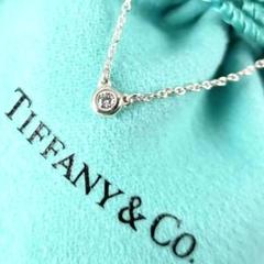 新入荷 ☆美品☆【TIFFANY&Co.】バイザヤード 1691 ペンダント ダイヤ アクセサリー
