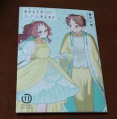 好きな子がめがねを忘れた 特装版 4冊セット Amazon.co.jp: 好きな子がめがねを忘れた(12)(完)特装版 小冊子