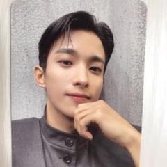 SEVENTEEN ドギョム　FACE THE SUNトレカ