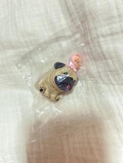 こびとづかん おすわりマスコット4 シークレット
