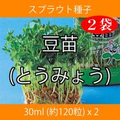 スプラウト種子 S-07 豆苗(とうみょう) 30ml 約120粒 x 2袋