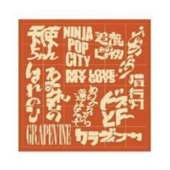 GRAPEVINE アミーチーズ 風呂敷