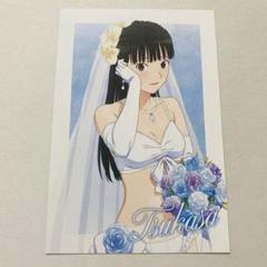 アマガミ 絢辻詞 ウェディング水着 特大 アクリルスタンド ポストカード付き アマガミ 七咲逢 森島はるか 絢辻詞 ウェディング 水着 特大