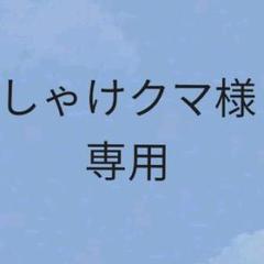 【優勝構築 ゼーロンGR付き 】ロマノフワンショット