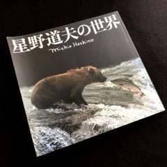星野道夫の世界 Michio Hoshino2冊組 星野道夫の世界 Michio Hoshino2冊組 その他