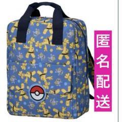 ポケモン ぬいぐるみ リュック ブランケット キーホルダー等 まとめ売り ５５点 ポケモン ぬいぐるみ リュック ブランケット キーホルダー等