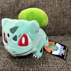 ⭐︎紙タグ付き⭐︎2013 ポケモン フシギダネ ぬいぐるみ 約20cm