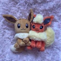 ポケモンセンターオリジナル ぬいぐるみ ポケモン フィット 立ち