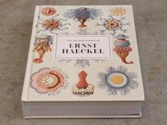 【新品】Ernst Haeckel / Taschen ヘッケル タッシェン 0bd2df3b88c37aa4fc9a6358f0b1ec