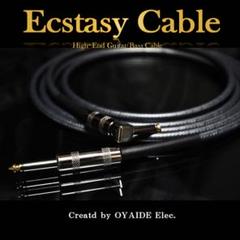 HighEnd】フラッグシップ Ecstasy Cable「L/S2m」［新品］ HighEnd】フラッグシップ Ecstasy Cable「L/S2m」［新品