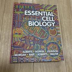 2025年最新】essential細胞生物学 第5版の人気アイテム - メルカリ