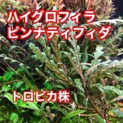 Adaトリミングの中古 未使用品 メルカリ Adaトリミングの中古 未使用品 メルカリ