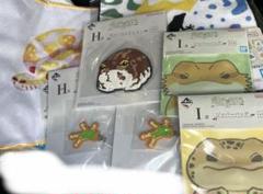 両生類　くじ　まとめ売り　１３点セット