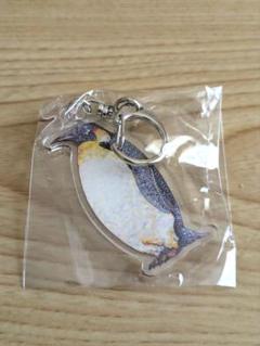 名古屋港水族館限定 アクリルキーホルダー　エンペラーペンギン