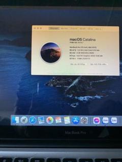 新品 SSD換装済み.CDも読み取りました.macOS Catalina.問題無