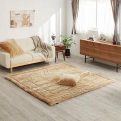 カルドニード ロングマット ２枚 楽天市場】【LINEお友だち登録で300円OFF】 玄関マット 50×70cm