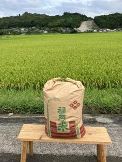 令和4年度新米 魚沼産地域 こしいぶき 脱ネオニコ米 殺虫剤不使用 玄米