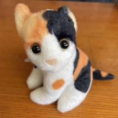 金曜まで赤字特価　日本製　アビシニアン　猫　ぬいぐるみ　メルカリのみ出品 おまとめ買いお値引可】シルバニアファミリー 赤ちゃん猫の人形