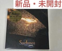 Suchmos 非売品プロモCD mint condition Amazon.co.jp: MINT CONDITION - Suchmos: ミュージック