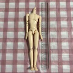 オビツ27スリム　吸血鬼セット 27BD-M03N_.jpg