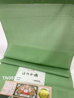 本場夏大島紬 桝屋儀兵衛 ほのか縞 浅緑色 正絹 反物 TN