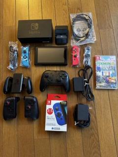 Nintendo Switch 本体 + 社外品多数　ゲームピクミン4 ピクミン4 Nintendo Switch 任天堂 ニンテンドースイッチ ソフト