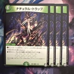 69925 ナチュラルトラップ