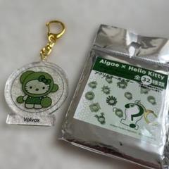 ハローキティ アクリルキーホルダー イタリア・ローマ どれが出るかな？】「ハローキティ」50周年を記念した全50種の