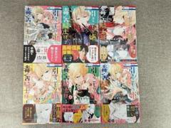 【全巻帯付・無料配送】引きこもり姫と毒舌騎士様 1~6巻セット 酒井ゆかり