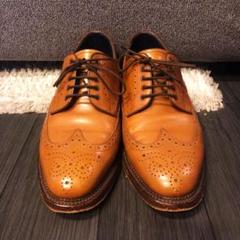 【爆売りセール開催中！】 本製 美品 REGAL 栃木レザー グレージングレザー W10B リーガル 靴