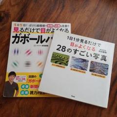 視力向上本 2冊セット　ガボールパッチ、28のすごい写真