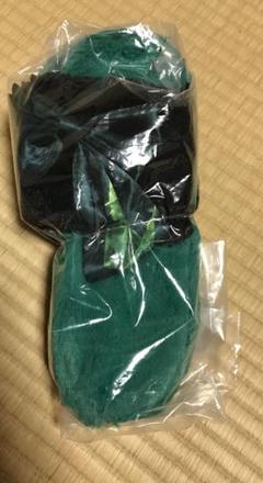 ウィキッド　ふたりの魔女　エルファバ　プラチナムザッカルームシューズ