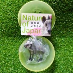 匿名発送 ガチャ NatureofJapan 日本のいきもの03 ニホンカモシカ