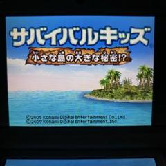 サバイバルキッズ 小さな島の大きな秘密！？ ソフトのみ DS