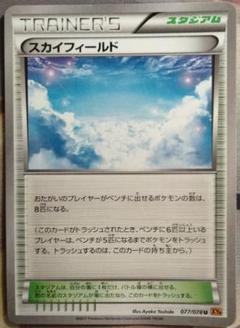 スカイフィールド 1枚