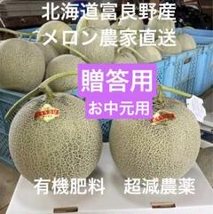 北海道 富良野メロン 赤肉 4〜7玉 有機肥料 超減農薬 農家直送(a16) 北海道 富良野メロン 赤肉 4〜7玉 有機肥料 超減農薬 農家直送