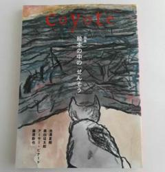 Coyote 雑誌 17冊セット 2025年最新】coyote 雑誌の人気アイテム - メルカリ