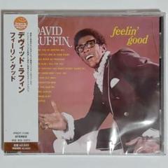 デヴィッド・ラフィン/フィーリン・グッド