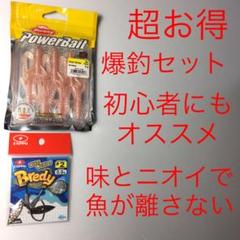 ⚠️最終値引き❗️⚠️爆釣セット⚠️ワカサギ⚠️パワーシュリンプ3、ブレディ♯2ウィロー