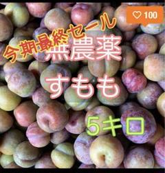 すもも 5キロ鹿児島産 無農薬 プラム 最終SALE！ - メルカリ