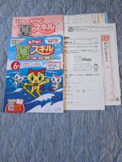 あかねこ　夏スキル　6年　光村教育図書　かくにんテスト付録付き